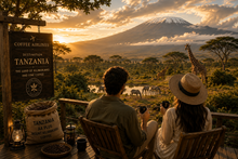 Load image into Gallery viewer, Kilimanjaro - TANZANIA
